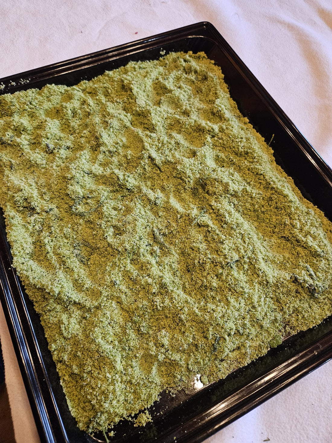 Kräutersalz aus Wildpflanzen